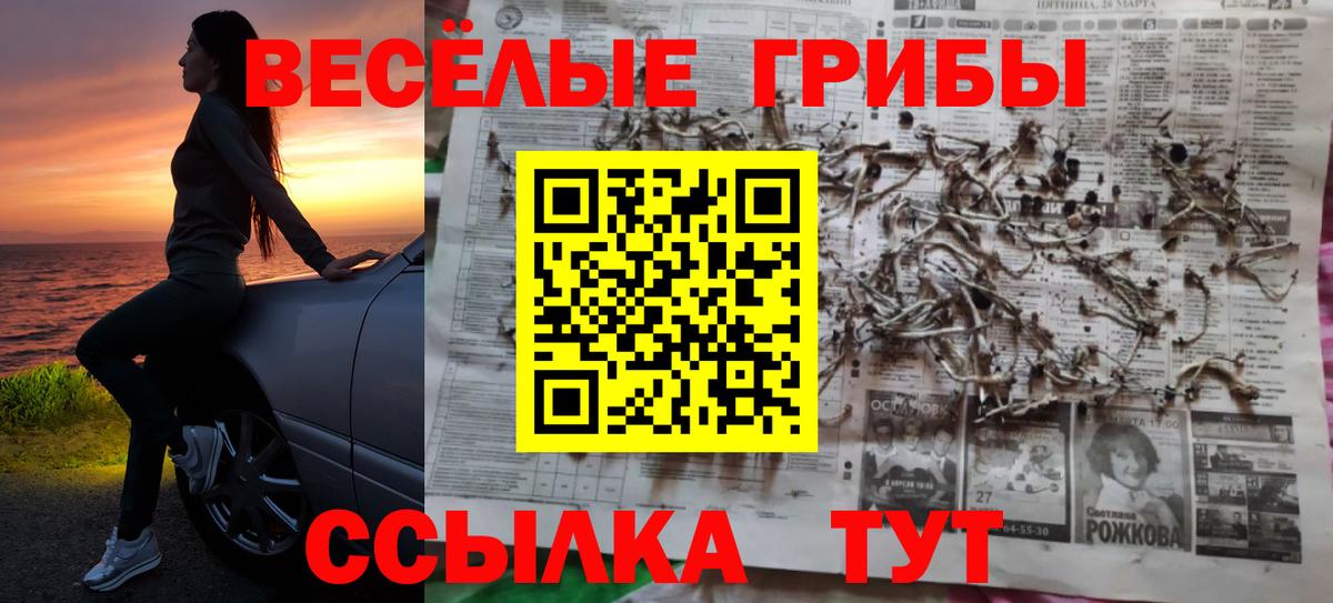 Псилоцибиновые грибы прущие грибы  Вход с VPN  Галлюциногенные грибы MAGIC MUSHROOMS  Петрозаводск 